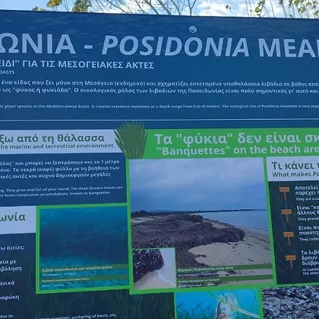 Maria's Apartament *