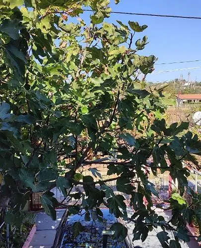 Maria's Apartamento *