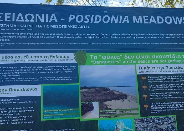 Maria's Apartamento *